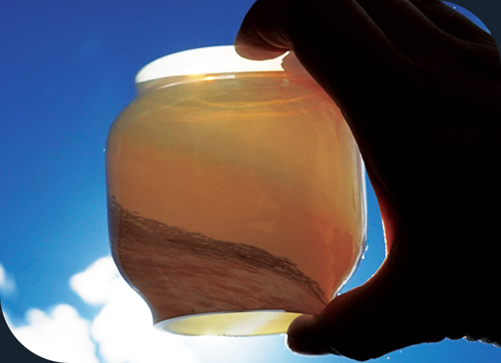 自然の中で灯るランタンのイメージ