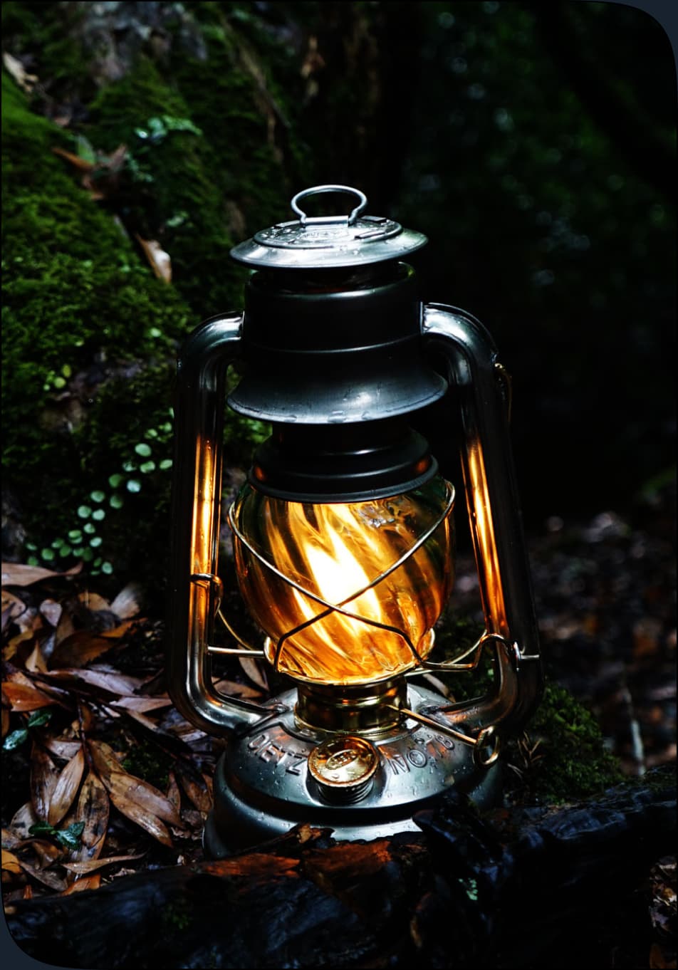 森の中のランタン