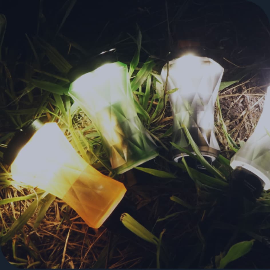 森の中のランプ